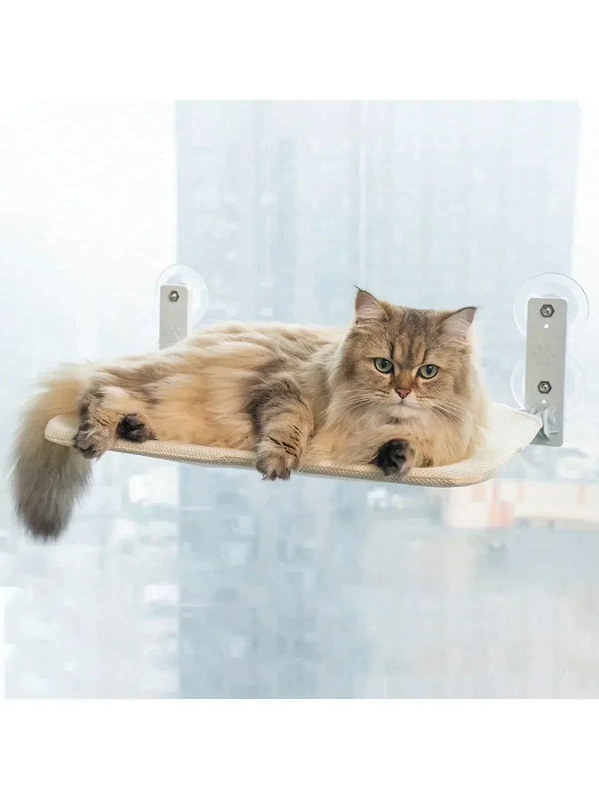 A Indoor Cordless Window Cat Bed