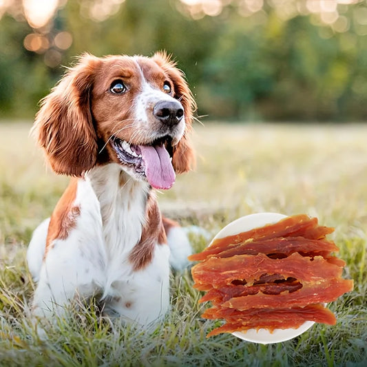2 Pack Healthy Chicken Jerky Treat Made with Real Chicken