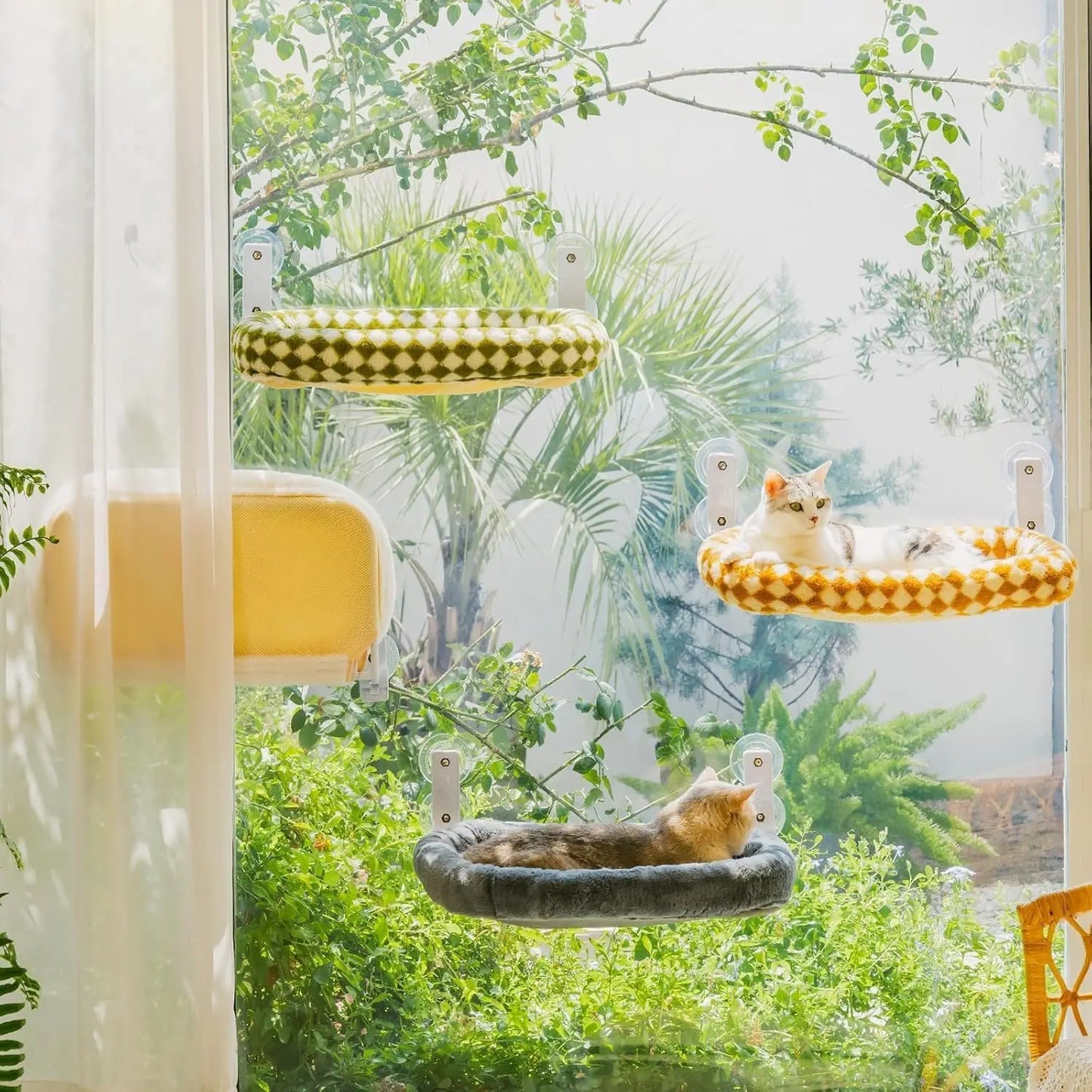 Foldable Cat Window Perch with 4 Strong Suction Cups Cordless