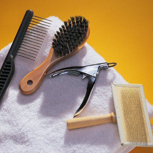 Grooming