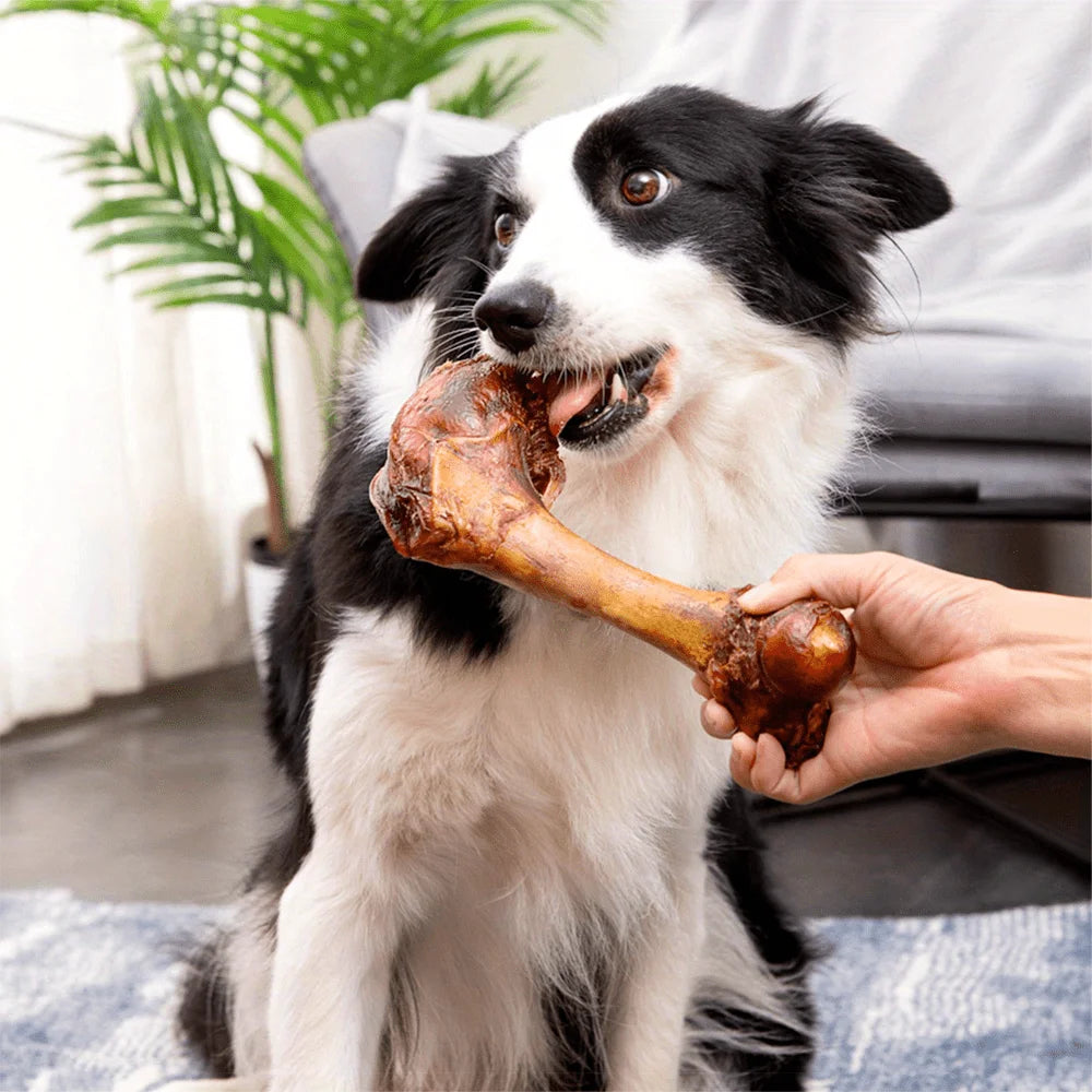 Large Cow Bone Natural  Healthy Treats