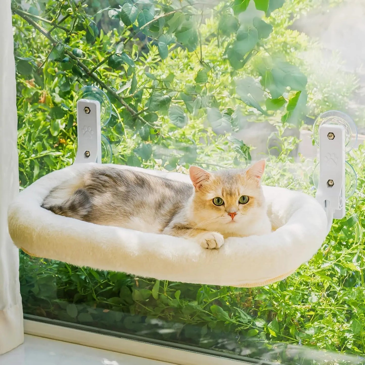 Foldable Cat Window Perch with 4 Strong Suction Cups Cordless